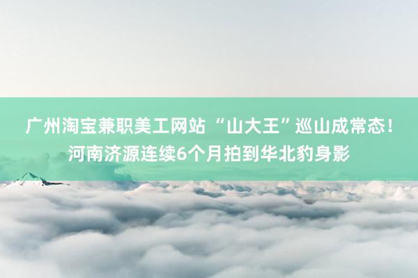 广州淘宝兼职美工网站 “山大王”巡山成常态！河南济源连续6个月拍到华北豹身影