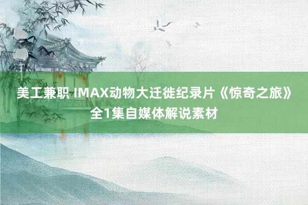 美工兼职 IMAX动物大迁徙纪录片《惊奇之旅》全1集自媒体解说素材