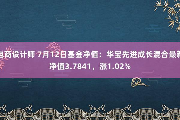 电商设计师 7月12日基金净值：华宝先进成长混合最新净值3.7841，涨1.02%