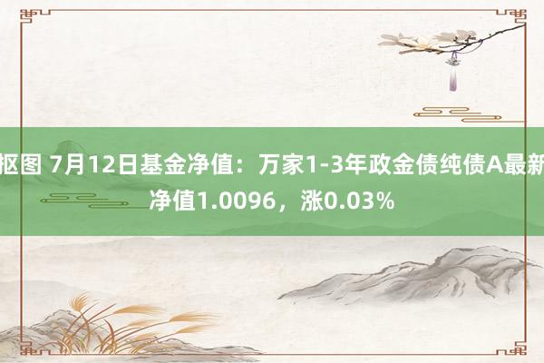 抠图 7月12日基金净值：万家1-3年政金债纯债A最新净值1.0096，涨0.03%