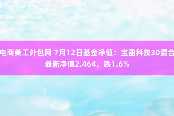 电商美工外包网 7月12日基金净值：宝盈科技30混合最新净值2.464，跌1.6%