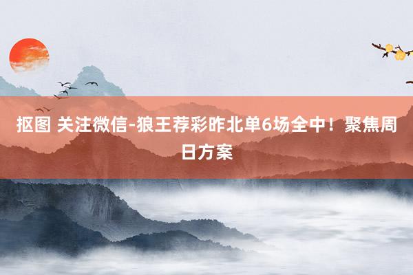 抠图 关注微信-狼王荐彩昨北单6场全中！聚焦周日方案